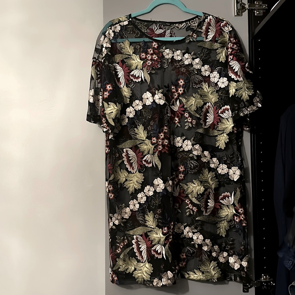 Beautiful Embroidered Zara sheer t-shirt dress.